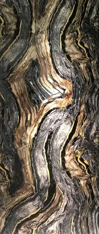 Trascenda Metamorphosis Eruption slab design
